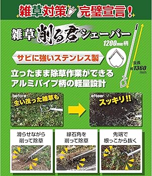 Amazon | DAISHIN 雑草削る君シェーバー 1200mm柄 草取り 道具 立った